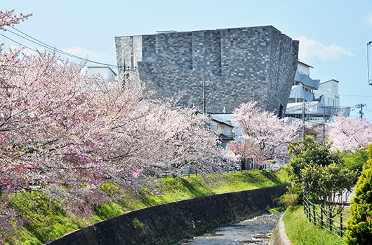 桜の季節のところざわサクラタウン