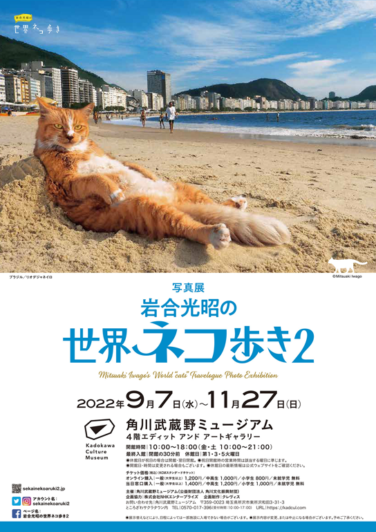 角川武蔵野ミュージアム 写真展「岩合光昭の世界ネコ歩き2」開催