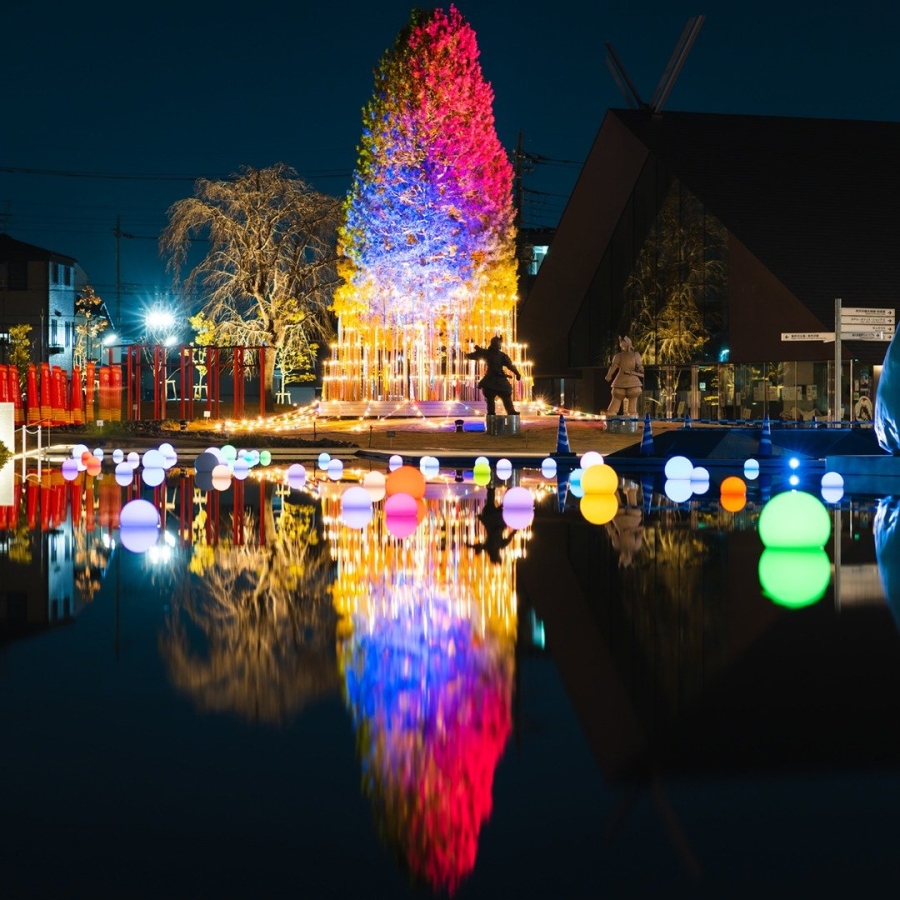 beginner_papa_camera