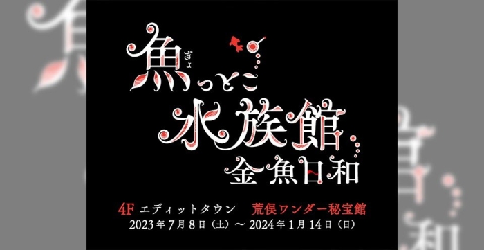 魚っとこ水族館　 金魚日和
