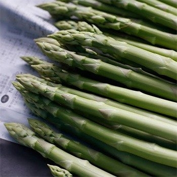 エガワコントラクター