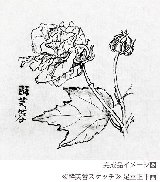 完成品イメージ図 酔芙蓉スケッチ 足立正平図