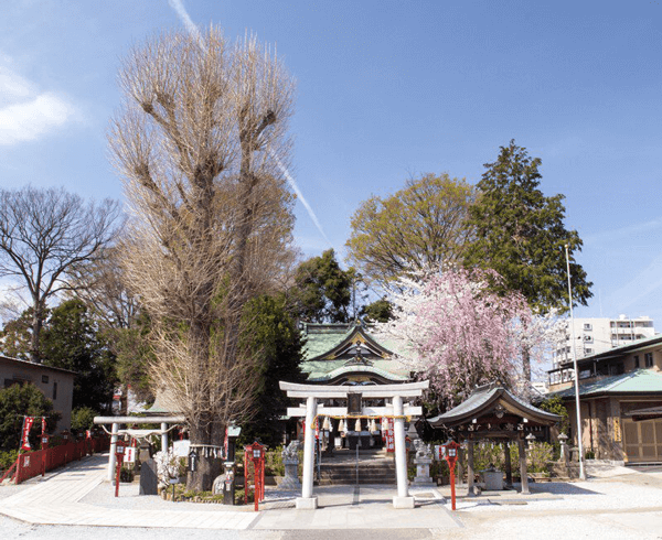 川越八幡宮