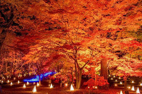 国営武蔵丘陵森林公園(滑川町)