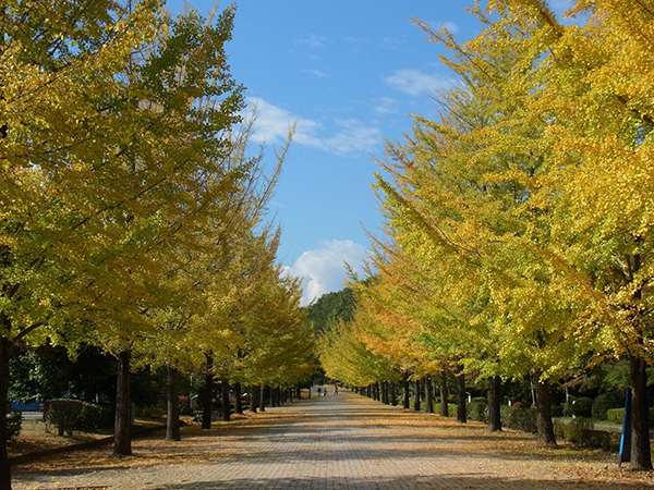 秩父ミューズパーク(秩父市・小鹿野町)