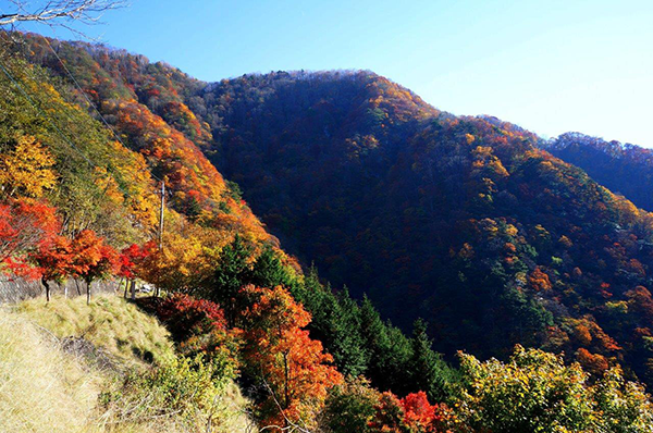 三峯神社周辺(秩父市)