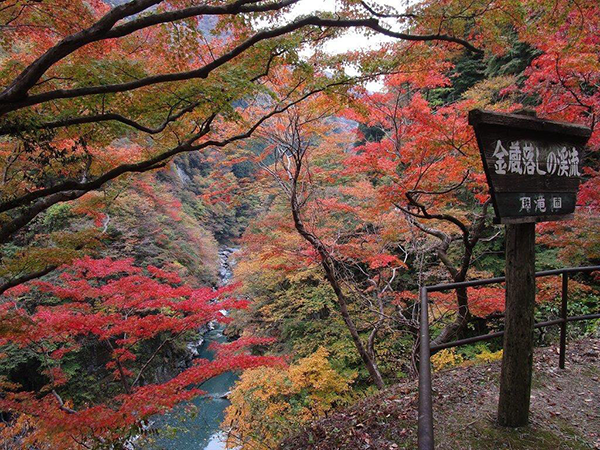 大血川渓谷(金蔵落しの渓流)(秩父市)