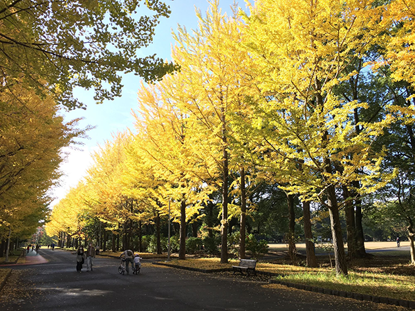 所沢航空記念公園(所沢市)