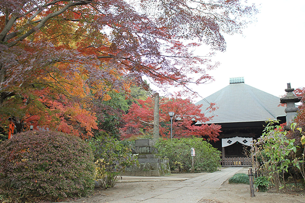 多聞院(所沢市)
