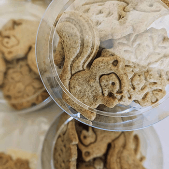 グーテドヨーコ