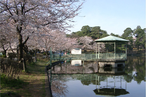 大宮公園