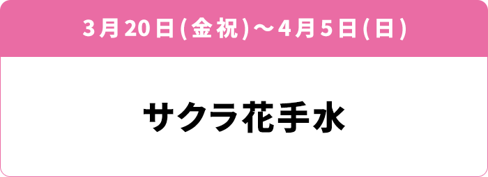 3月20日(金祝)～4月5日(日) サクラ花手水