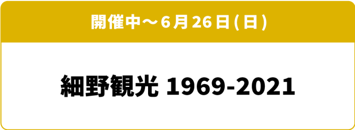 開催中~6月26日(日)「細野観光1969-2021」