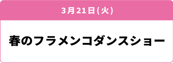 3月21日(火)「春のフラメンコダンスショー」