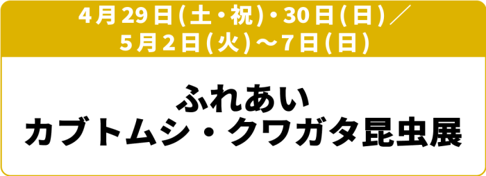 4月29日(土・祝)～30日(日)／5月2日(火)～7日(日)「触る！撮る！驚く！ふれあいカブトムシ・クワガタ昆虫展 in ところざわサクラタウン」※5月1日(月)、2日(火)を除く