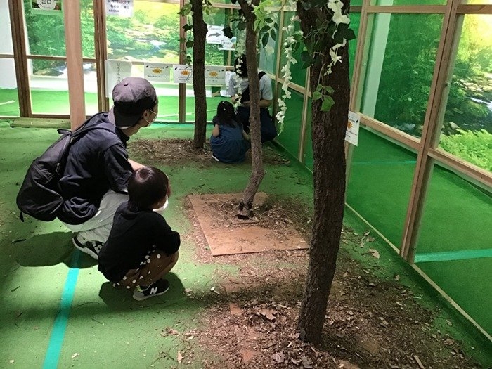 ふれあい体験