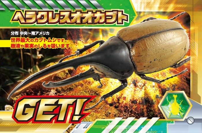 ヘラクレスオオカブト