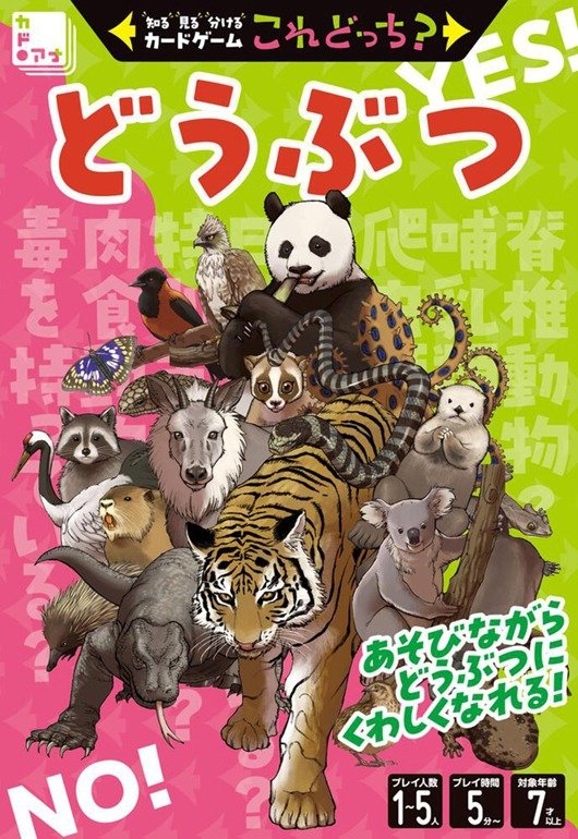 知る見る分けるカードゲーム これどっち? 【どうぶつ】