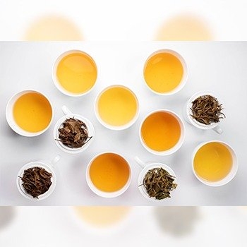 さしま茶 吉田茶園