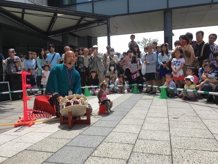 おさるの「京ちゃん」猿まわし