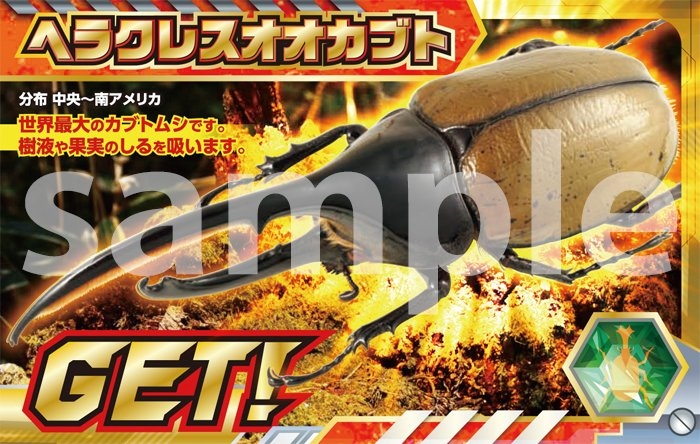 ヘラクレスオオカブト