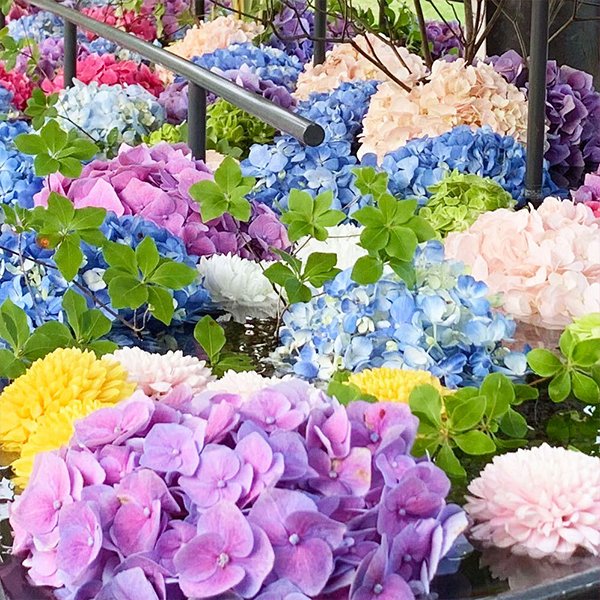 あじさい花手水