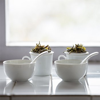 ジュンチヤバリ茶園