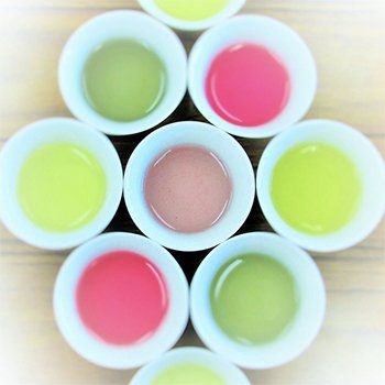 品種茶専門店心向樹