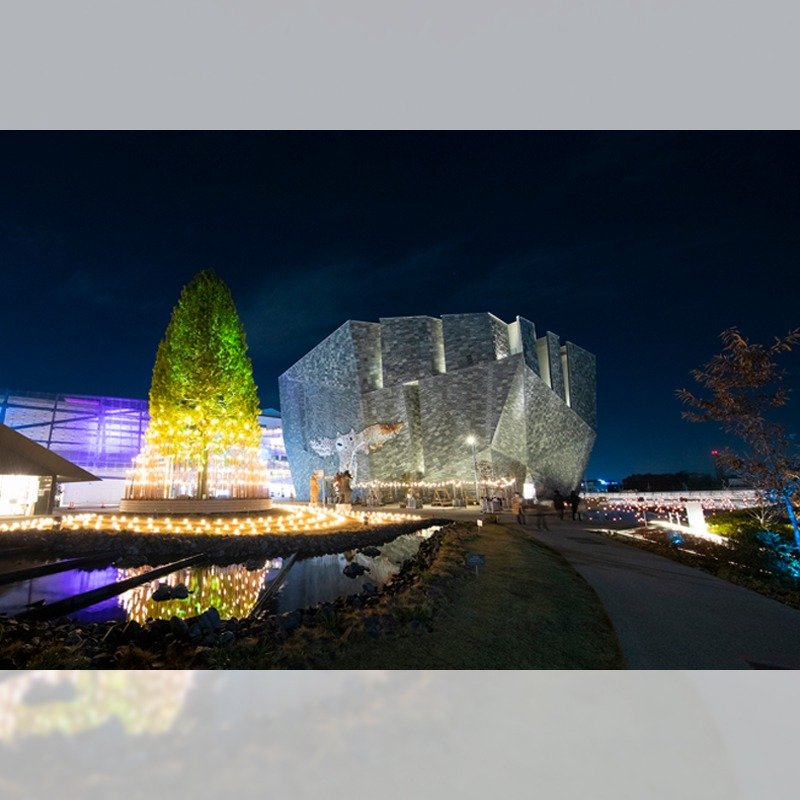 冬のイルミネーション2021-2022「はじまりの光」