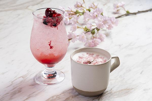 (左)イチゴとベリーのソーダ/(右)桜ラテ