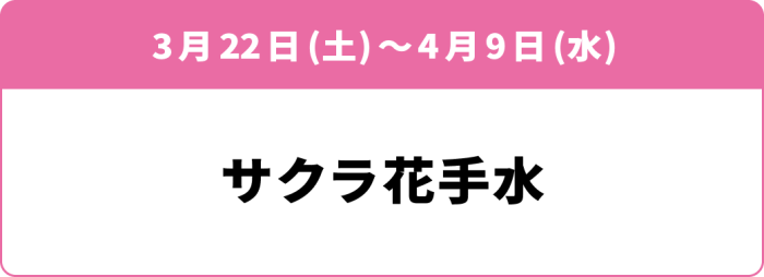 サクラ花手水