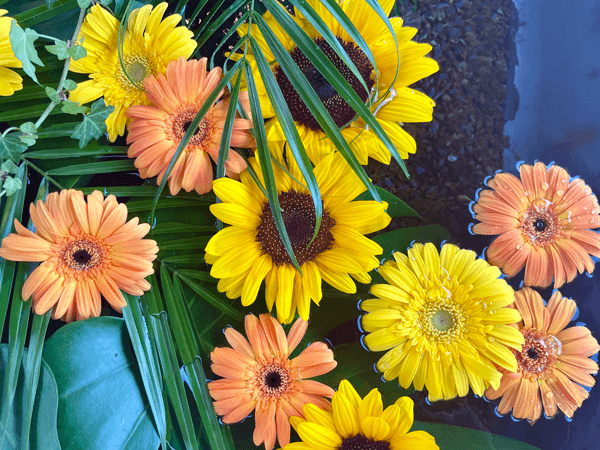 花手水2