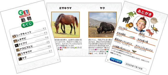 図鑑完成イメージ