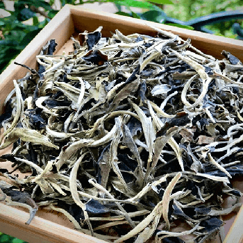 オーガニック・プーアール