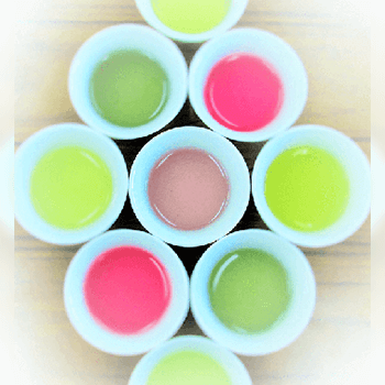 品種茶専門店心向樹