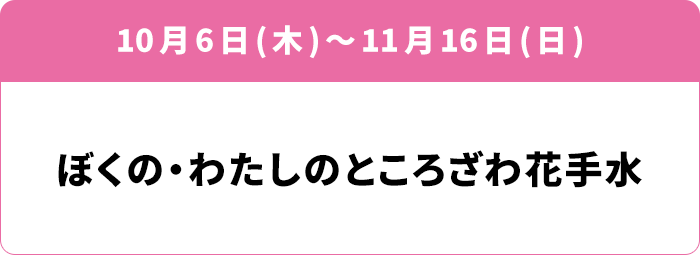 11月6日(木)～16日(日) ぼくの・わたしのところざわ花手水