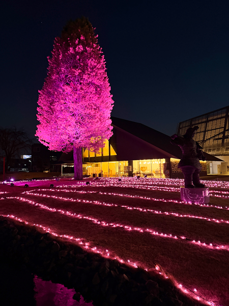 イルミネーション