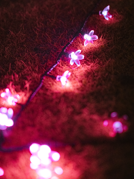 イルミネーション