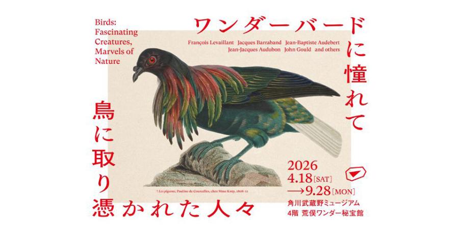 ワンダーバードに憧れて　鳥に取り憑かれた人々