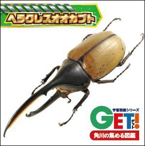 ヘラクレスオオカブト