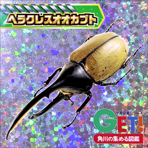ふれあいカブトムシ・クワガタ昆虫展 in ところざわサクラタウン 2026