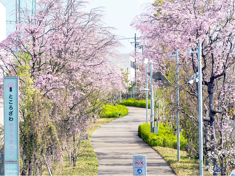 花回廊