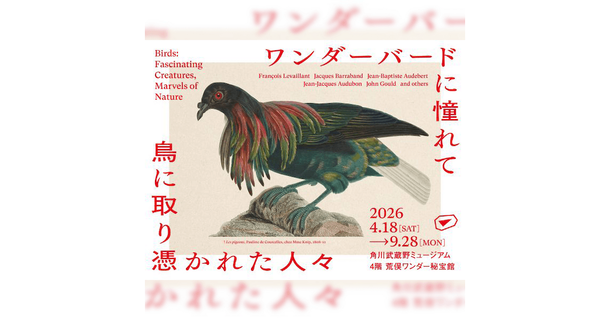 ワンダーバードに憧れて 鳥に取り憑かれた人々 | イベント情報