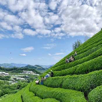 一心園