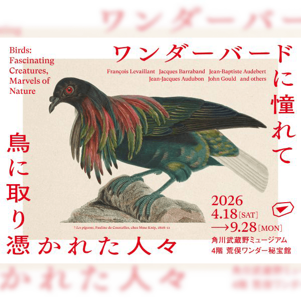 ワンダーバードに憧れて　鳥に取り憑かれた人々