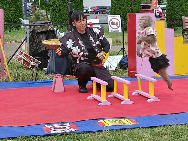 「猿回し」の上演