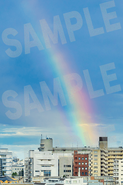 パワーフォト SAMPLE