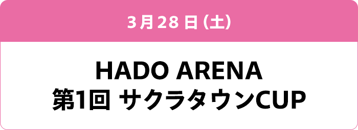 3月28日(土) HADO ARENA 第1回 サクラタウンCUP