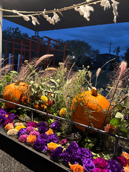 ハロウィン花手水