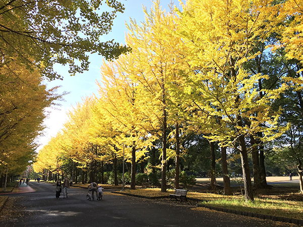 所沢航空記念公園(所沢市)